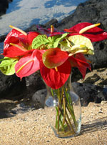 anthurium bouquet