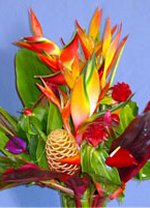 Tropical Bouquet