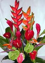 Tropical Bouquet